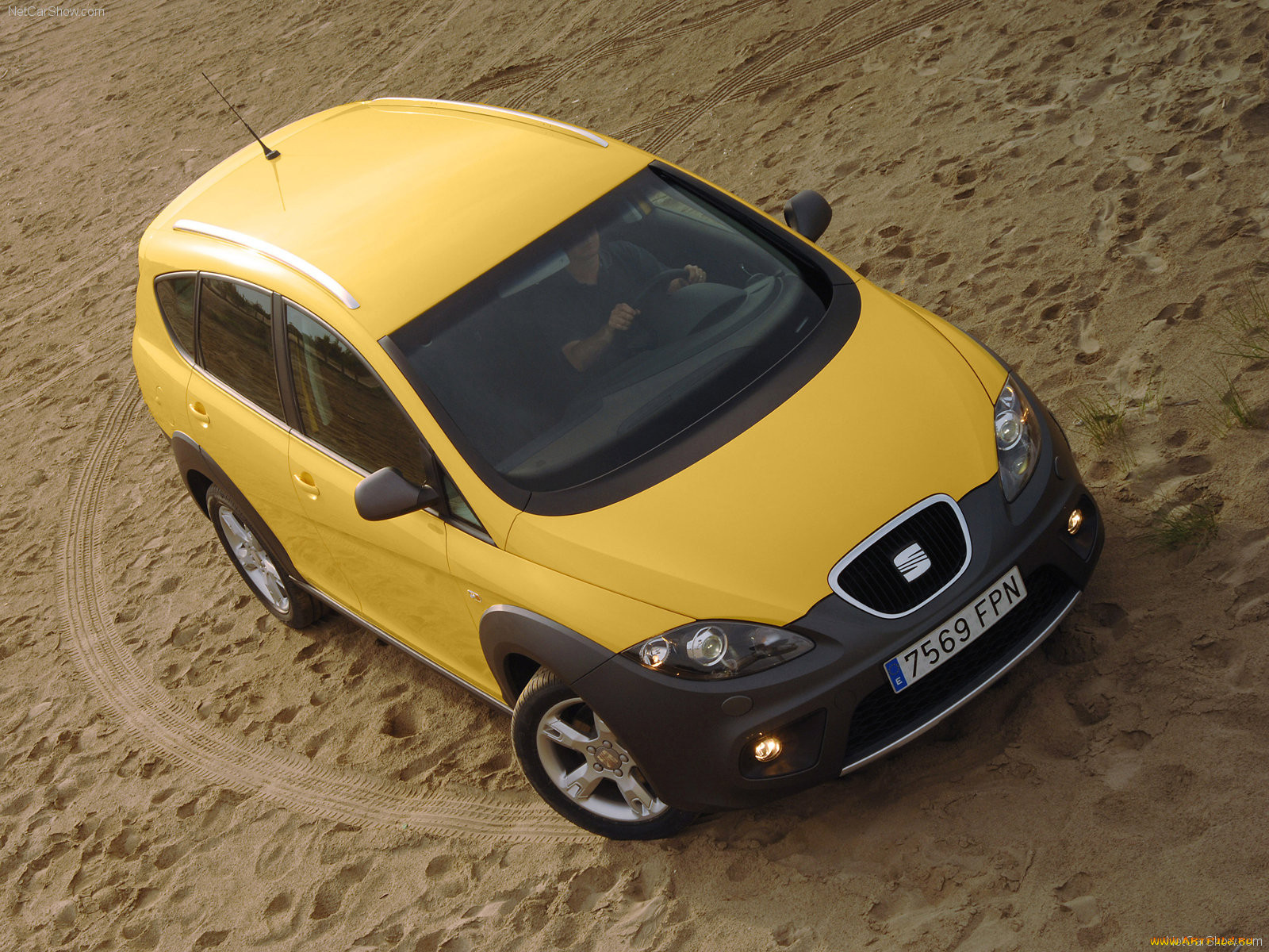 seat, altea, freetrack, 2008, 